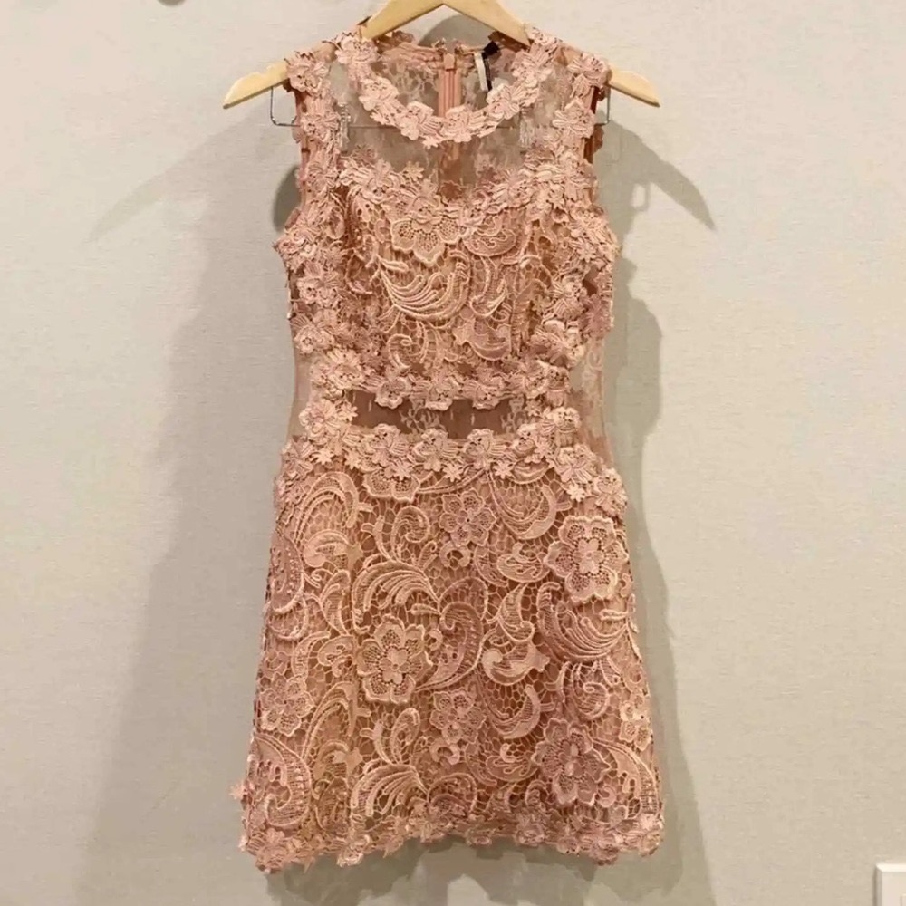 Top Shop Floral Mauve Pink Scallop Lace Dress Self Portrait